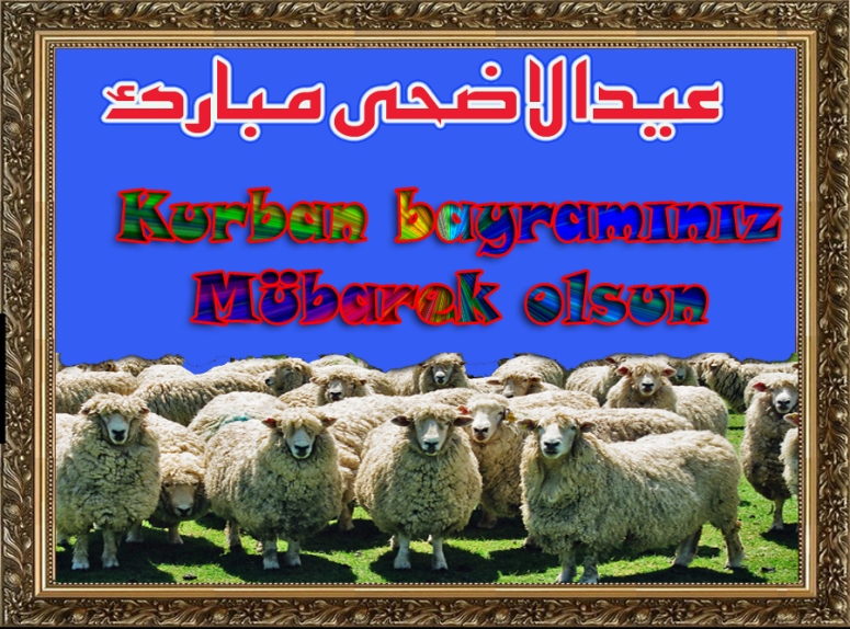 Праздник Курбан Байрам Поздравление На Кыргызском Языке